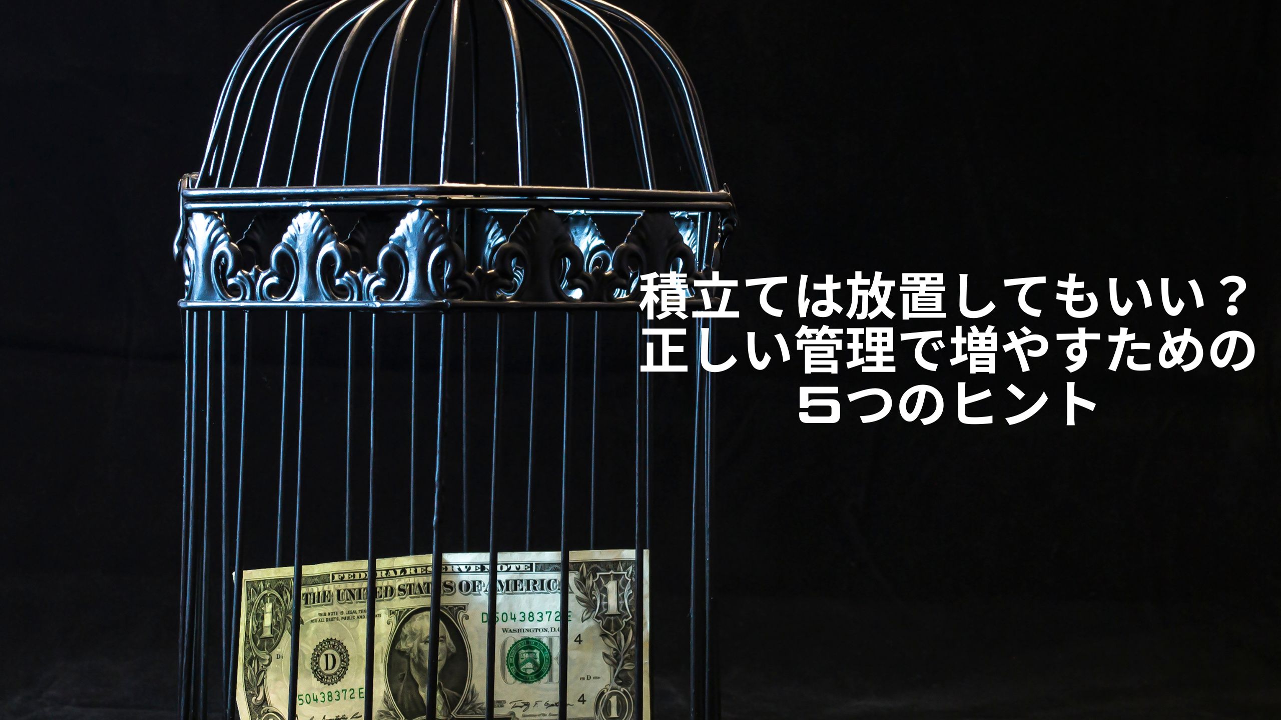 積立ては放置しても良いのか悩む読者へ。鳥かごの中に1ドル札が閉じ込められている様子で、放置による資産の管理不足を表現。